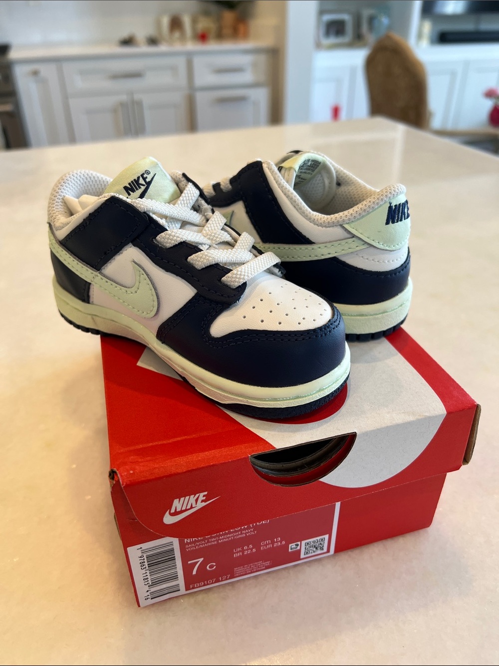 Nike Dunk Low Kids Low-Top Sneakers in Navy and Pale Green